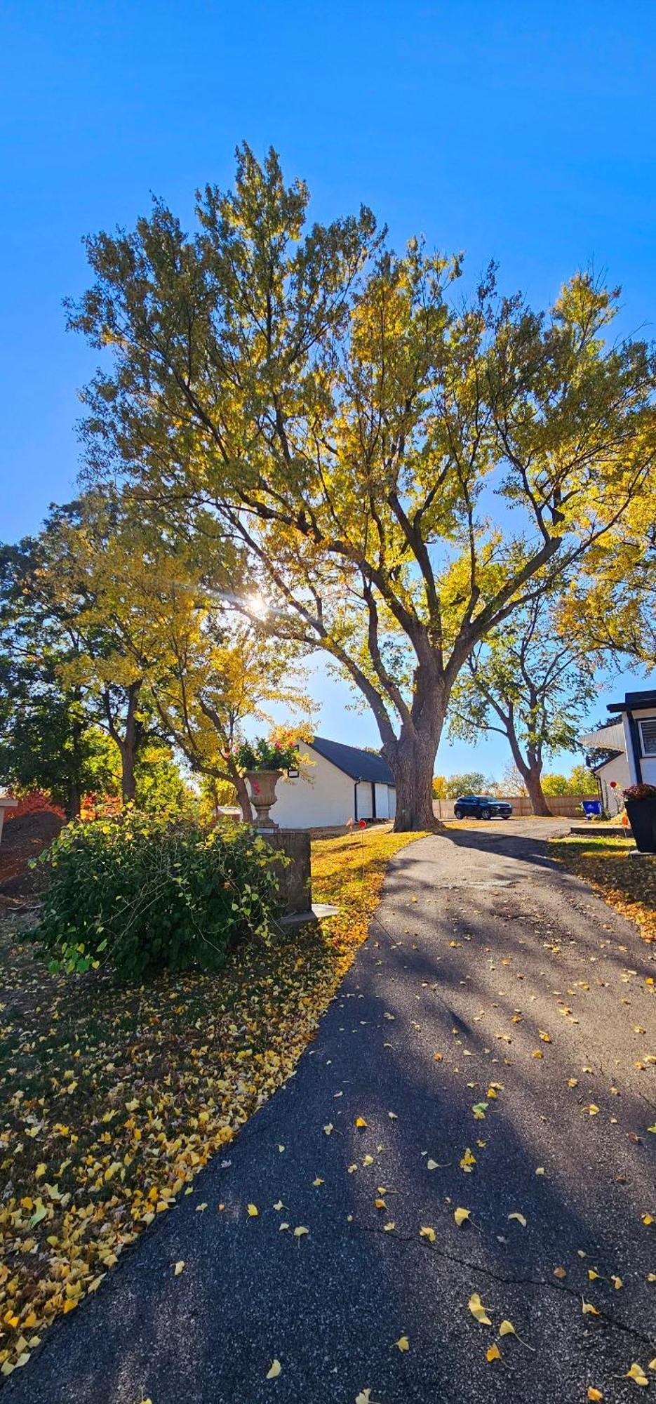 1908 Modern Farmhouse On Large Private Treed Lot Shawnee Εξωτερικό φωτογραφία